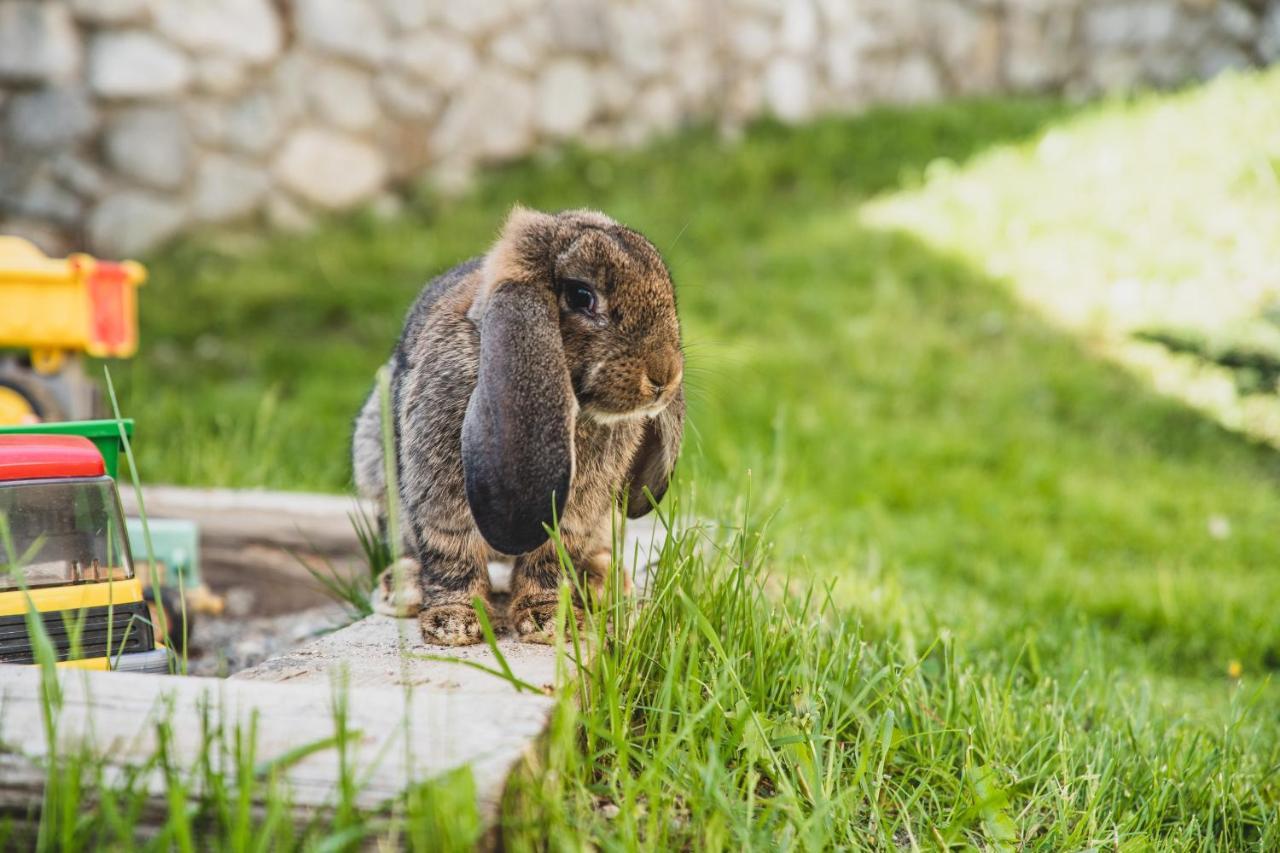 Ferienwohnungen Wiesbauer Schenna Buitenkant foto