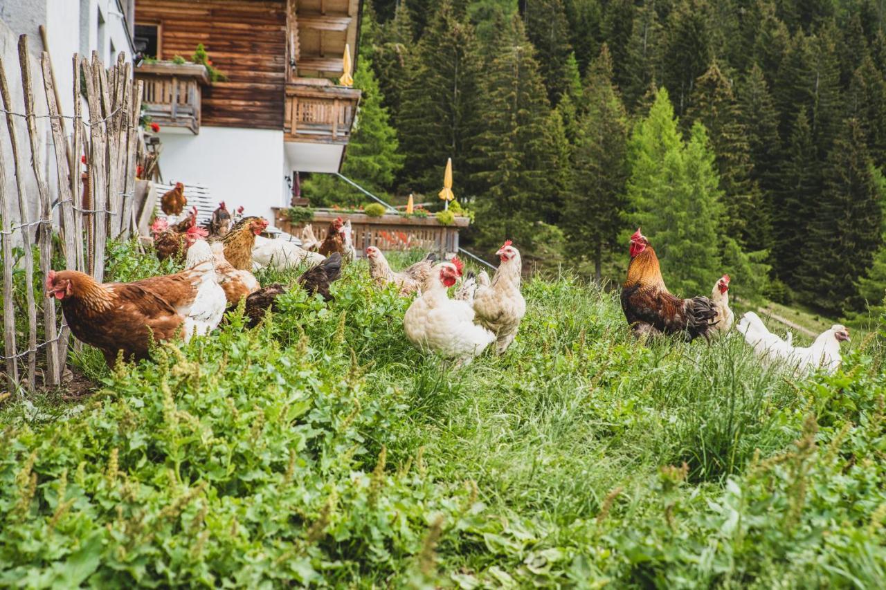 Ferienwohnungen Wiesbauer Schenna Buitenkant foto