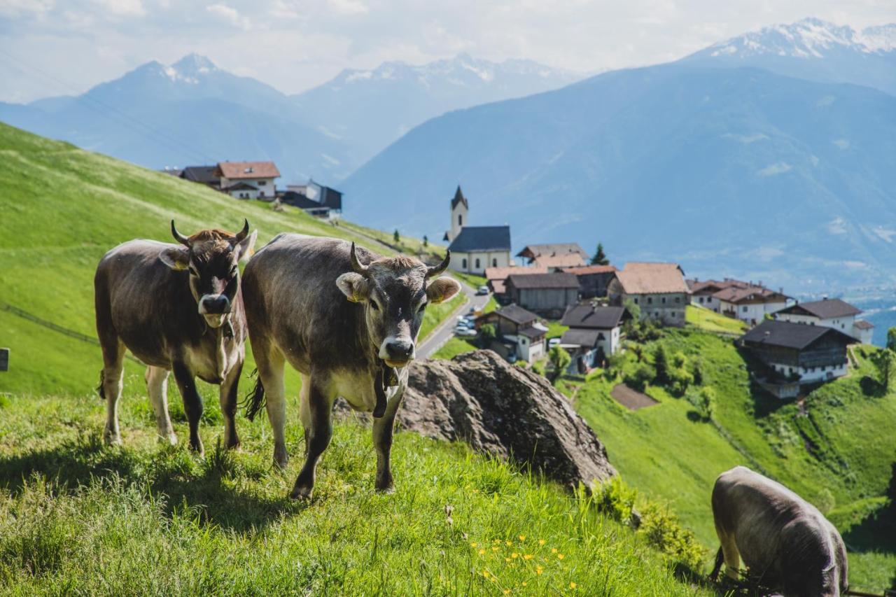 Ferienwohnungen Wiesbauer Schenna Buitenkant foto