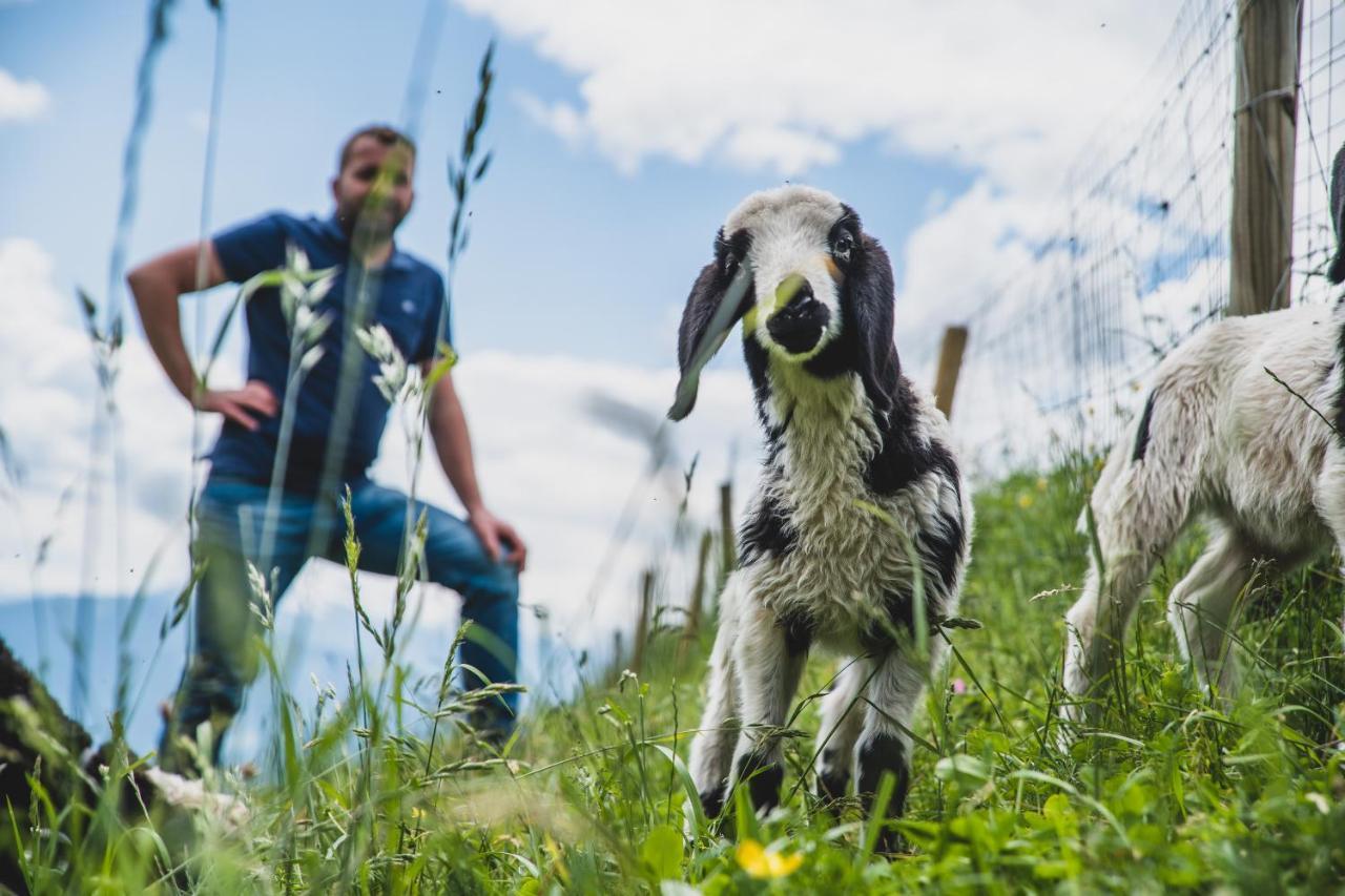 Ferienwohnungen Wiesbauer Schenna Buitenkant foto