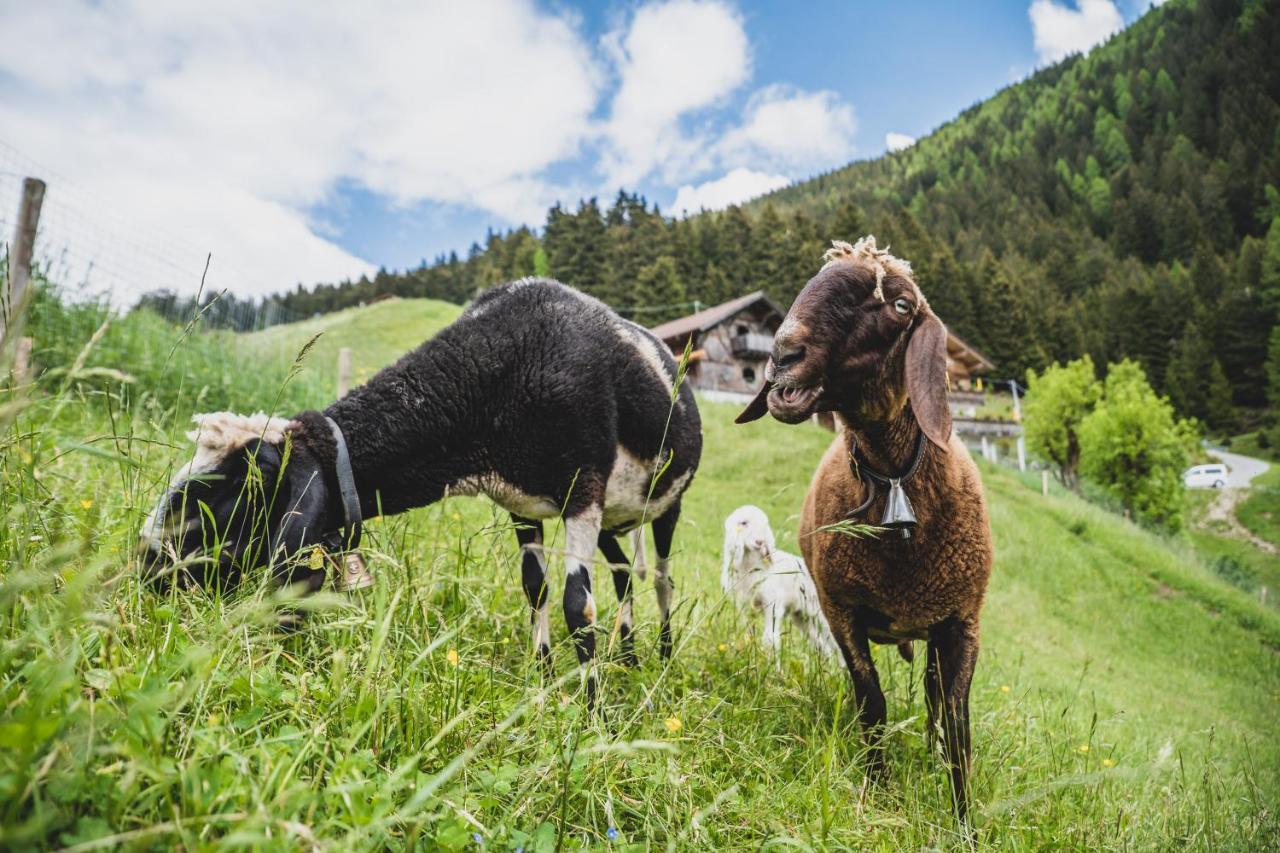 Ferienwohnungen Wiesbauer Schenna Buitenkant foto