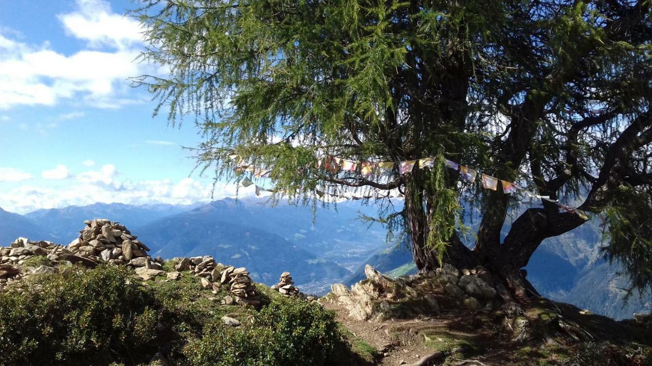 Ferienwohnungen Wiesbauer Schenna Buitenkant foto