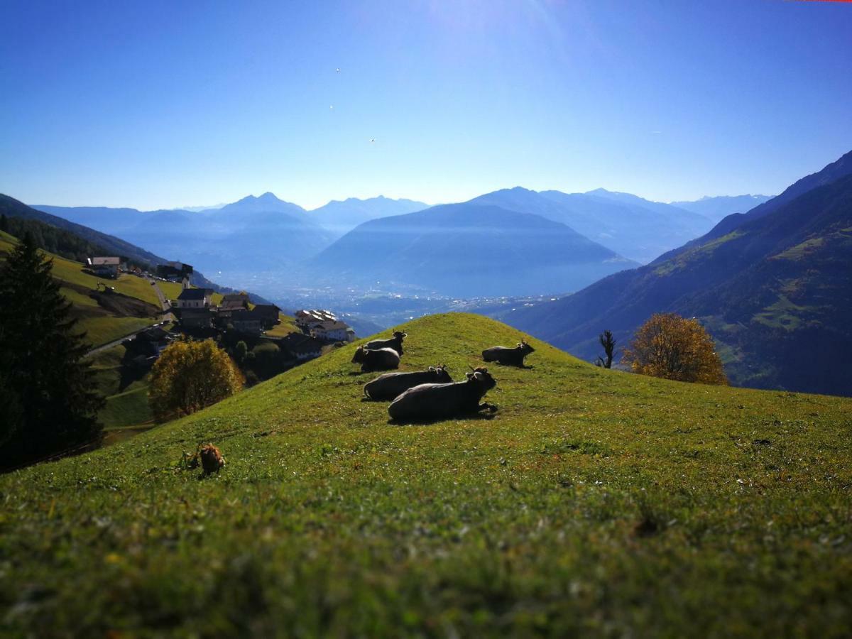 Ferienwohnungen Wiesbauer Schenna Buitenkant foto